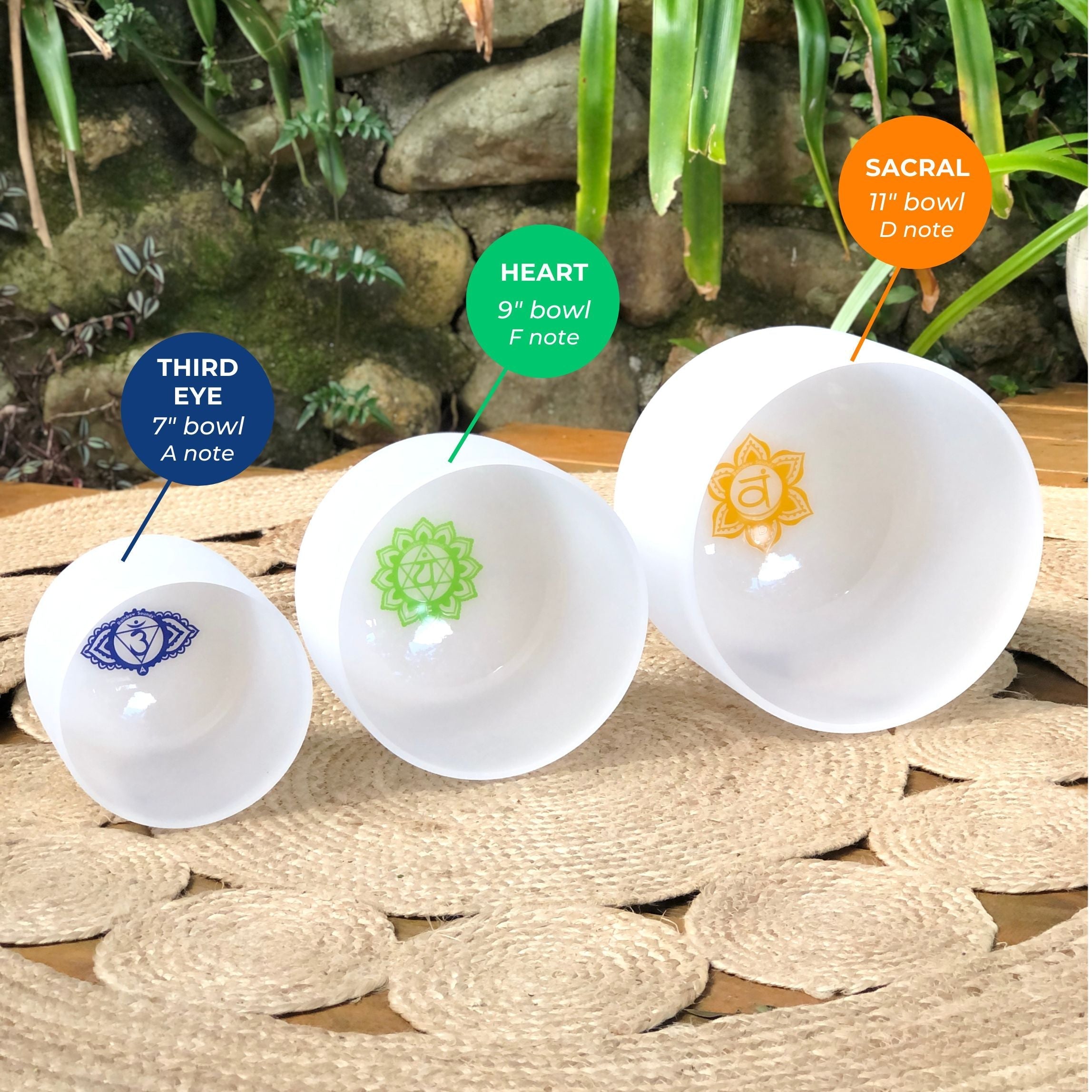 Rainbow Sounds Set of 3 Crystal Singing Bowls (D/F/A) with Case