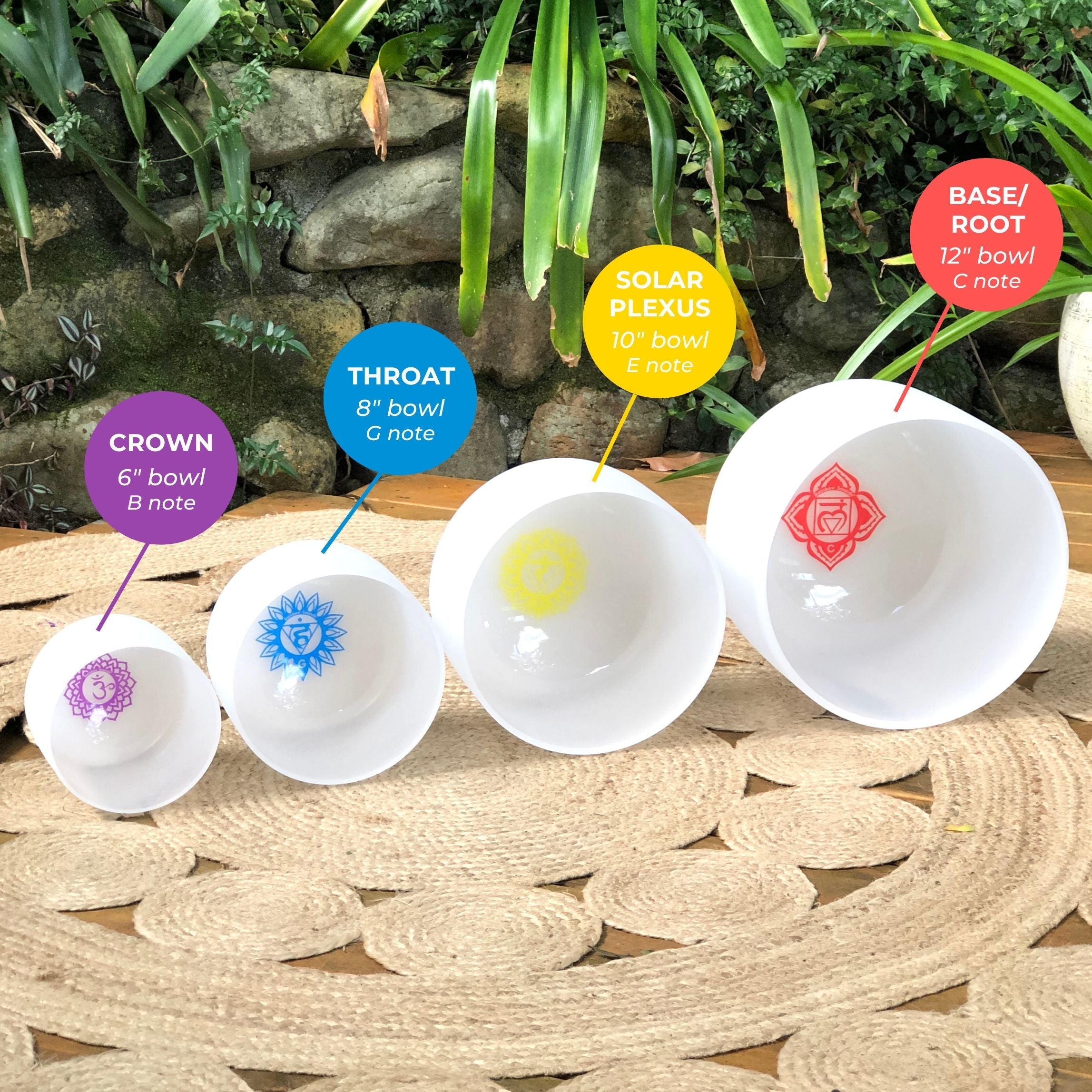 Rainbow Sounds Set of 4 Crystal Singing Bowls (C/E/G/B) with Case