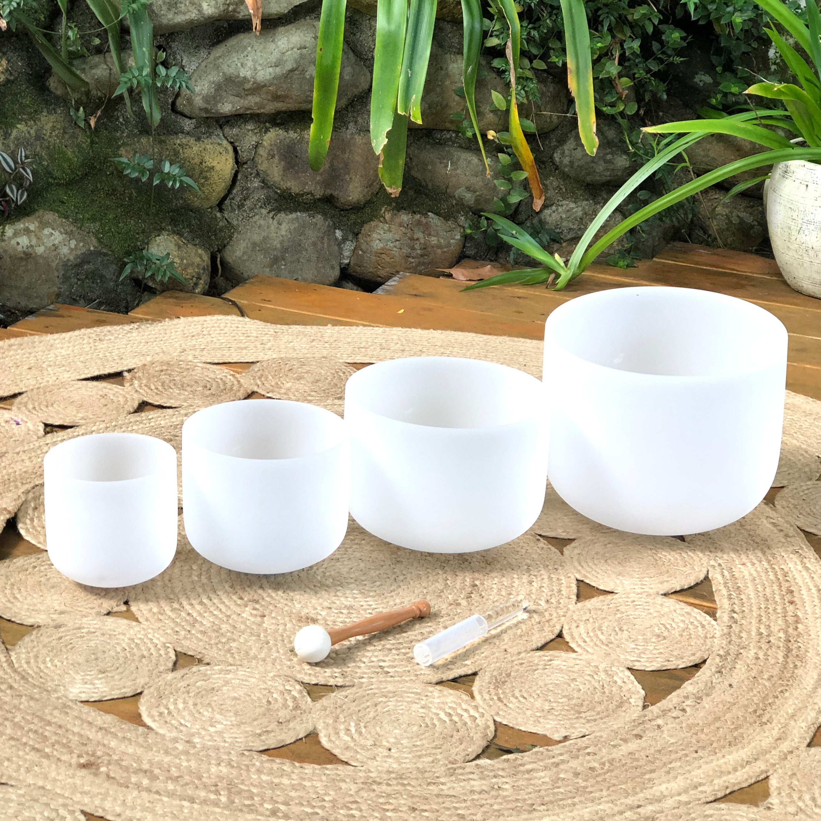 Rainbow Sounds Set of 4 Crystal Singing Bowls (C/E/G/B) with Case